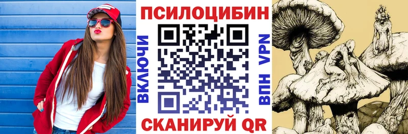 цена наркотик KRAKEN сайт Псилоцибиновые грибы MAGIC MUSHROOMS Гудермес