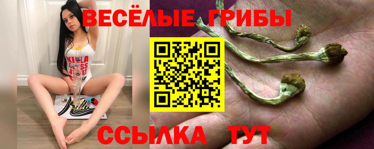 Галлюциногенные грибы MAGIC MUSHROOMS Гудермес