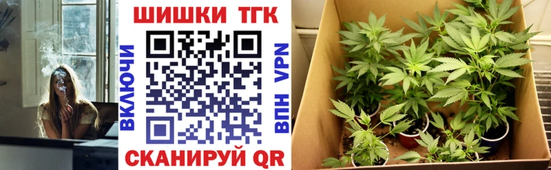 Канабис OG Kush Гудермес