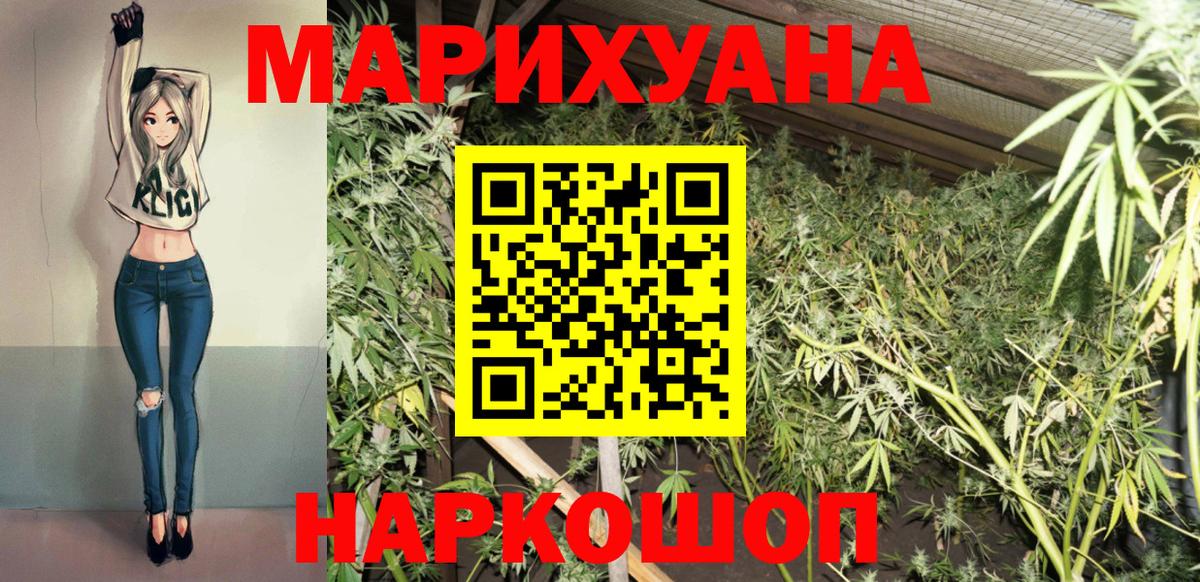 Бошки Шишки план Гудермес